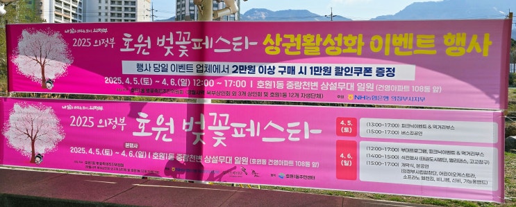  의정부 벚꽃축제 호원벚꽃페스타 이야기