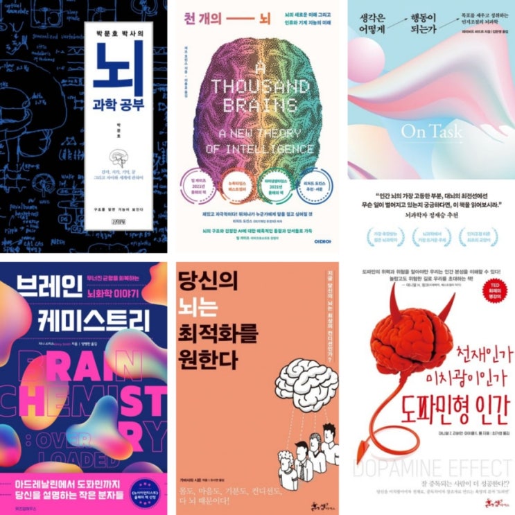  뇌과학책 Part 2. 두개골 속 뇌 - 구조, 신경 네트워크, 화학물질