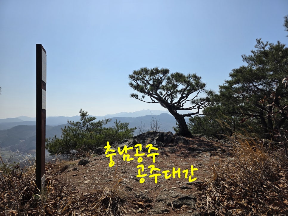 견준산 사진 4