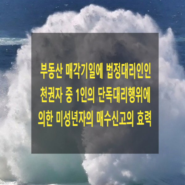  부동산 매각기일에 법정대리인인 친권자 중 1인의 단독대리행위에 의한 미성년자의 매수신고의 효력
