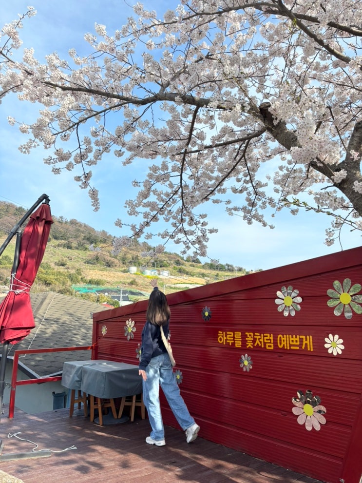 [<b>섬</b> <b>홍보대사</b>] 여수 하화도 입성!