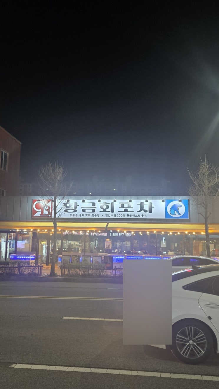  [광주/북구] 분위기부터 맛까지 완벽했던 포차 감성 황금회포차 광주용봉점