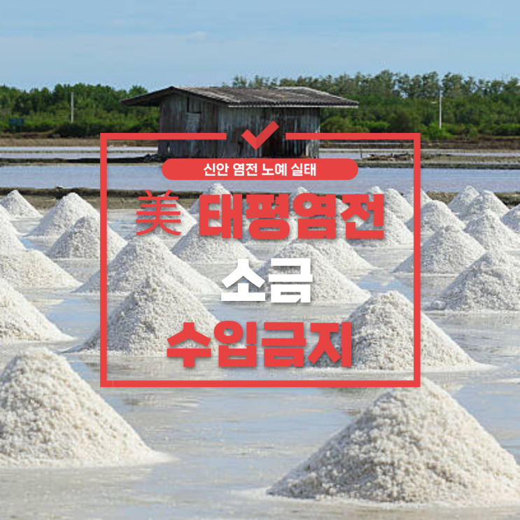  태평염전 강제노동 논란: 미국은 제재, 한국은 솜방망이?