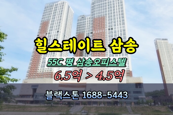  힐스테이트삼송역 경매 55C평 삼송오피스텔 [2024타경3011]