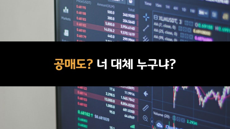  공매도? 너 대체 누구냐? (6)