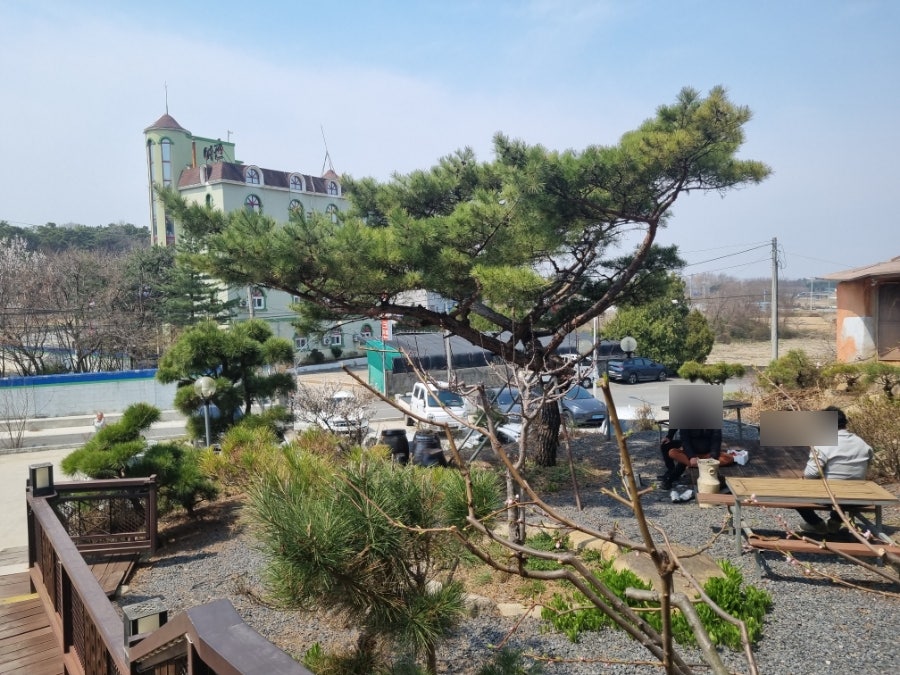 선달 사진 5