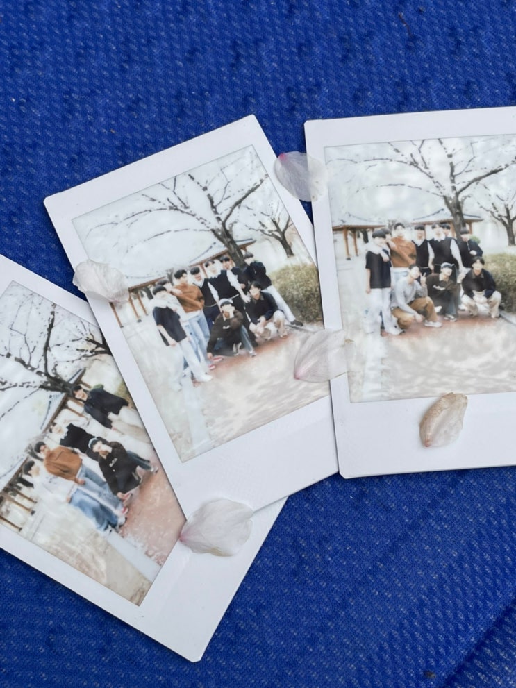  대구 동구 중학생 고등학생 운동 백인관 피크닉