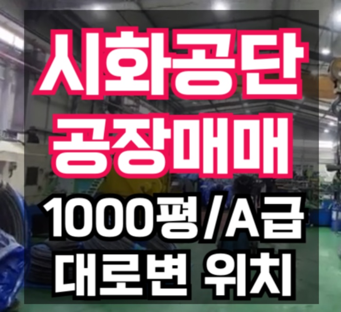  시화공단 대로변 공장 매매 1000평, A급 급매 공장. 시화공단 부동산