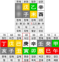 (<b>이천수</b> 사주) <b>건진법사 공천</b> 뒷돈 목격자, 상관견관,