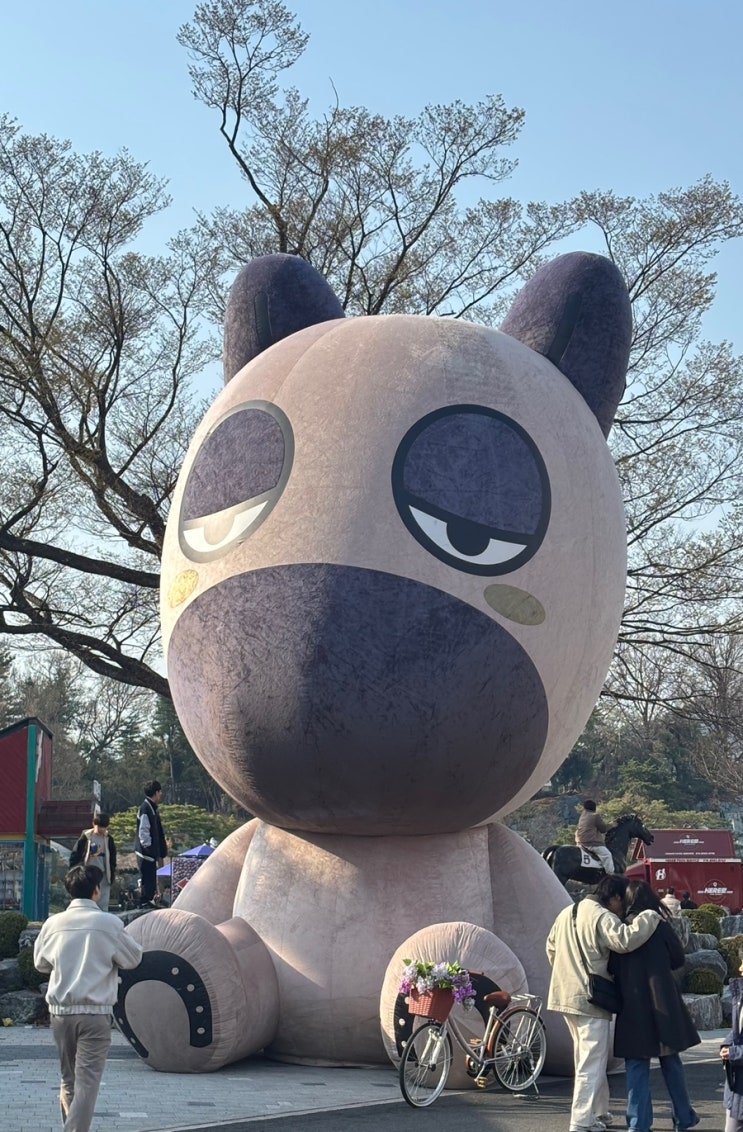  2025 렛츠런파크 서울 벚꽃축제 다녀온 후기