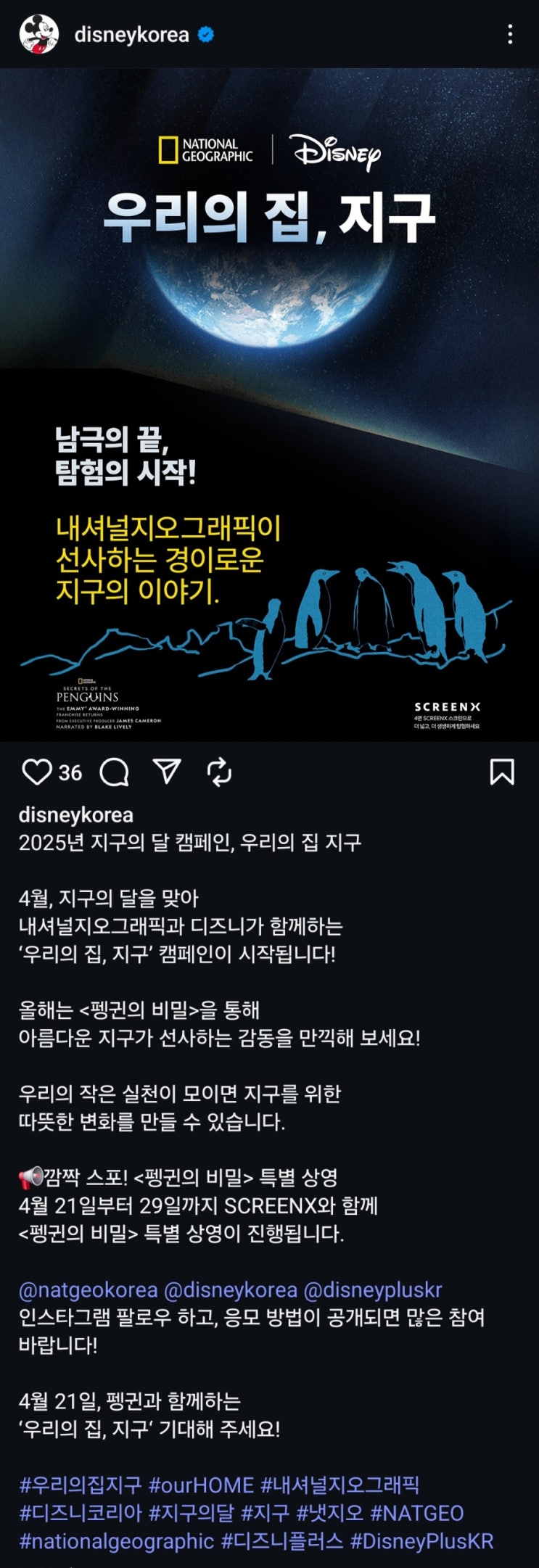  <펭귄의 비밀> 용스엑 개봉 예정