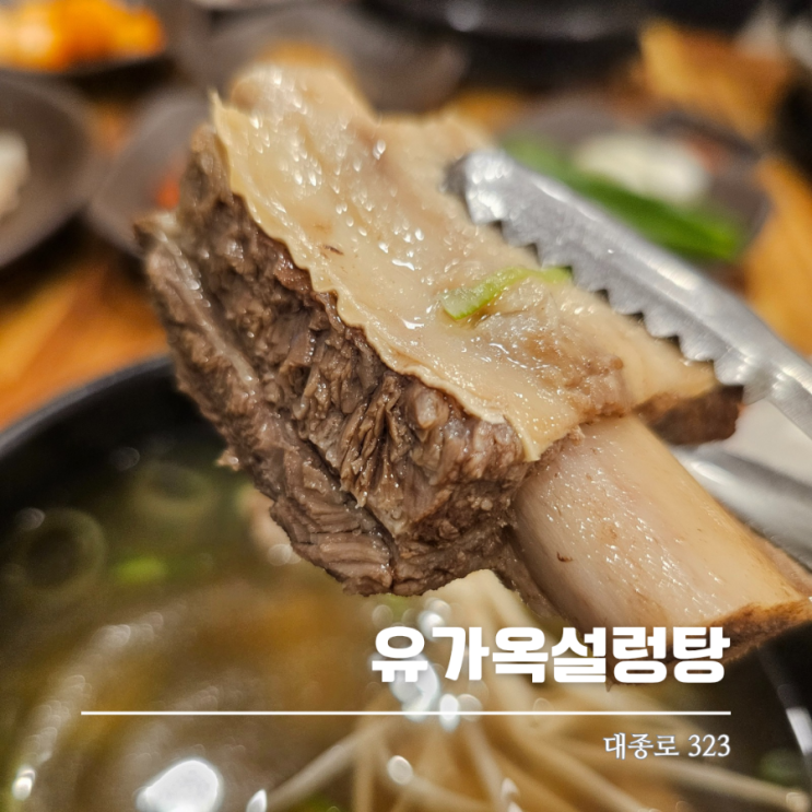  대전 부사동 돌솥갈비탕 맛집 유가옥 후기