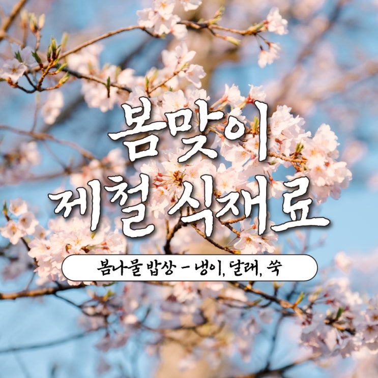  4월 봄나물 종류와 요리