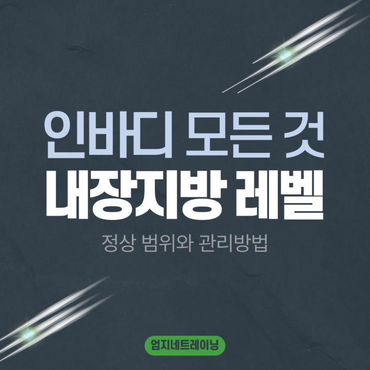  인바디 내장지방레벨 정상 범위와 관리방법
