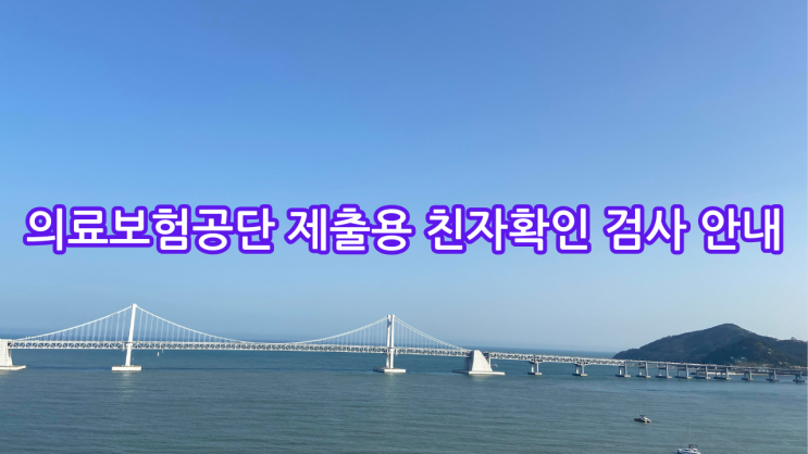  [부산] 의료보험공단 제출용 친자확인 검사 안내