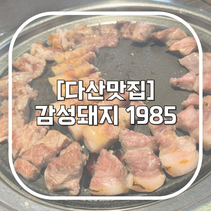  다산 고기집 1티어 노릇하게 구워주는 쌈부자 고깃집 감성돼지 1985 다산점