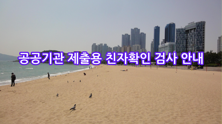  [부산] 공공기관 제출용 친자확인 검사 안내