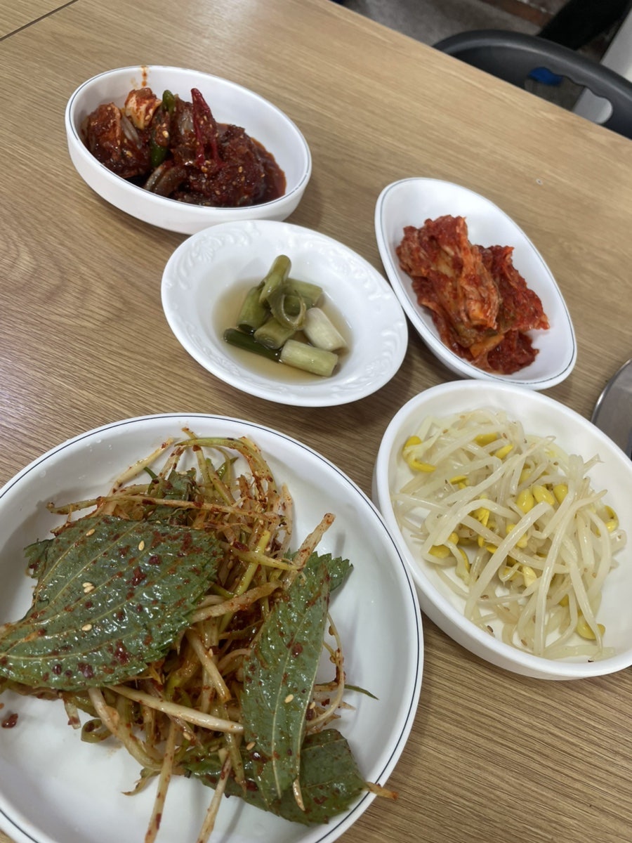 들물흑돼지 사진 5