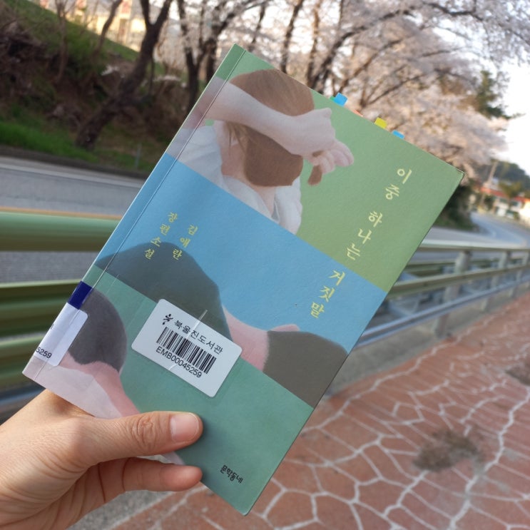  이중 하나는 거짓말 김애란 장편소설