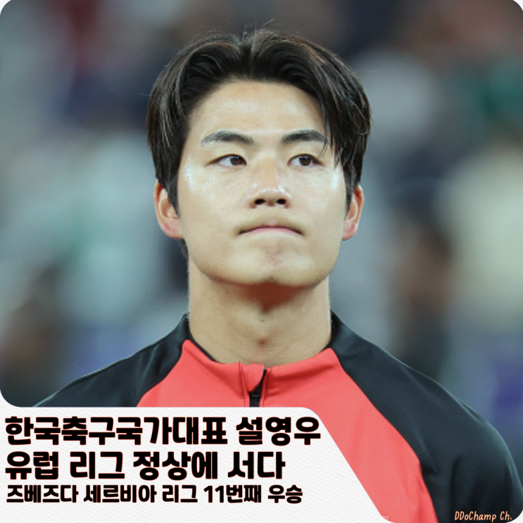 한국축구국가대표 <b>설영우</b>, 유럽 리그 정상에 서다. <b>즈베즈다</b>... 