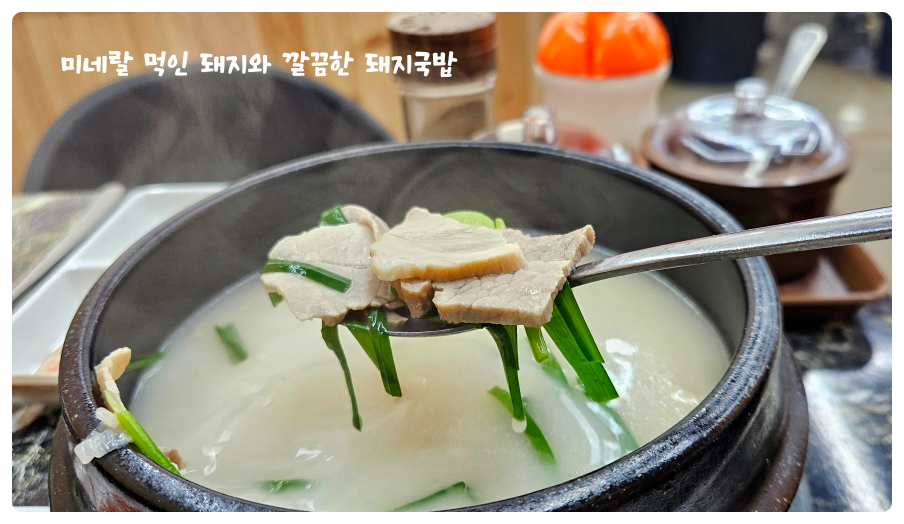 미네돈 사진 4