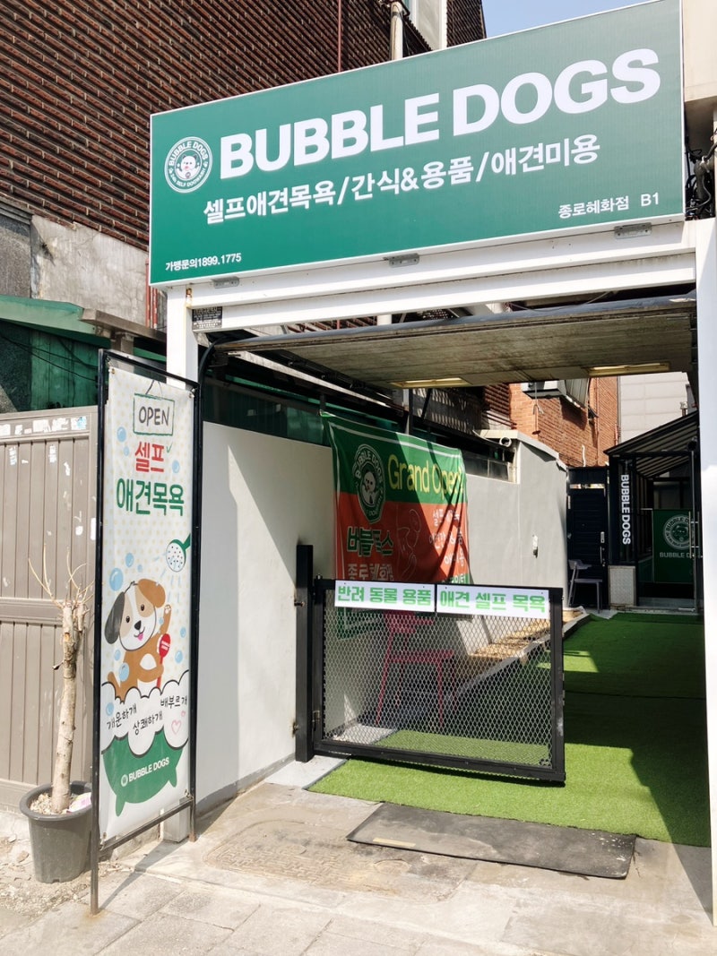 사진 3