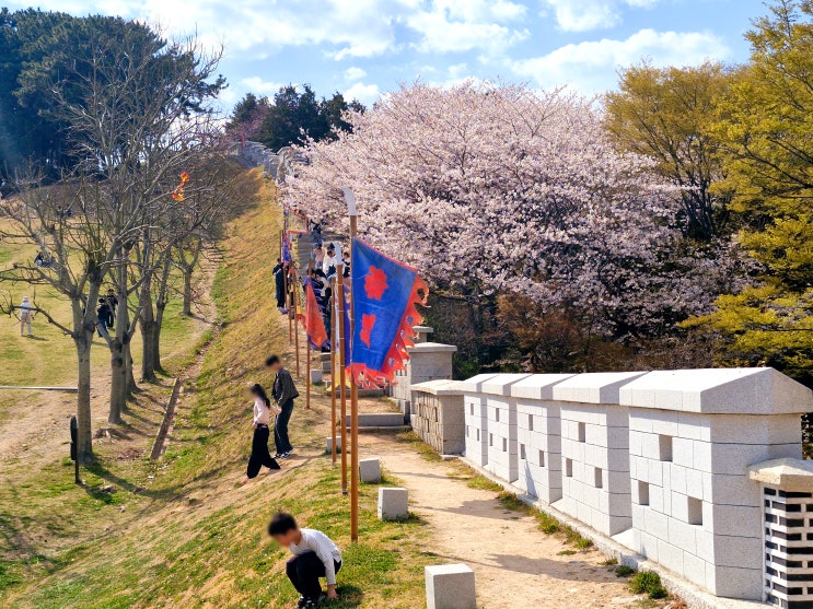  부산 벚꽃 피크닉 하기 좋은 동래읍성, 장영실 과학 동산 역사 공부, 주차