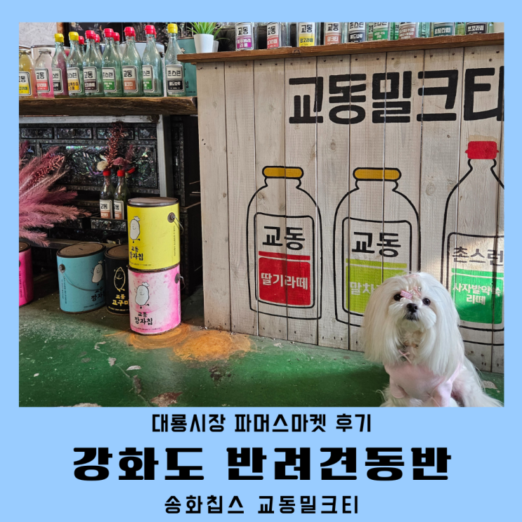  애견동반 강화도갈만한곳 파머스마켓 송화칩스 대룡시장 주차