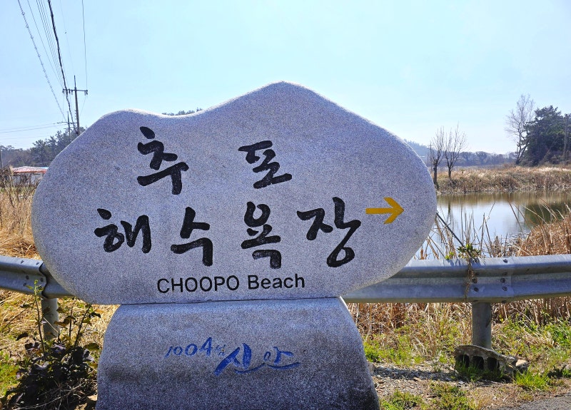 사진 5