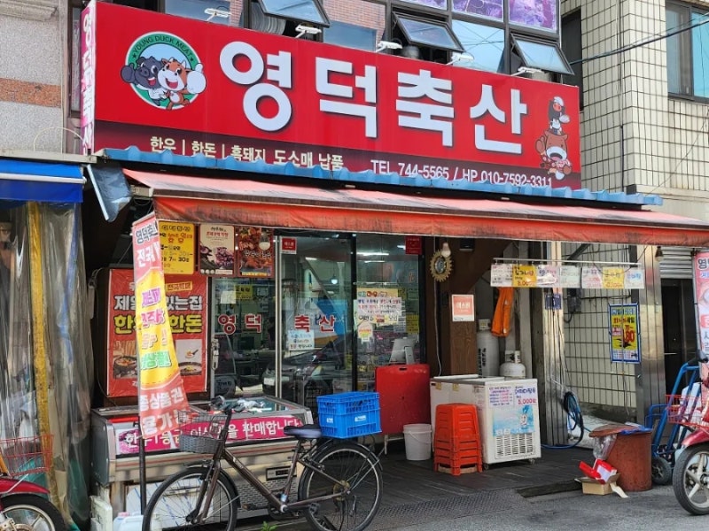 [진주 중앙시장] 진짜 좋은 품질의 고기와 곰탕맛집인 진주 정육점 영덕축산