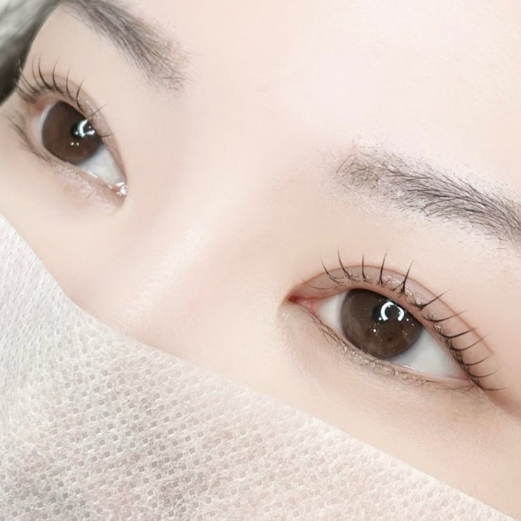  한올한올 선명하게 올라가는 여주속눈썹 잘하는곳 정결