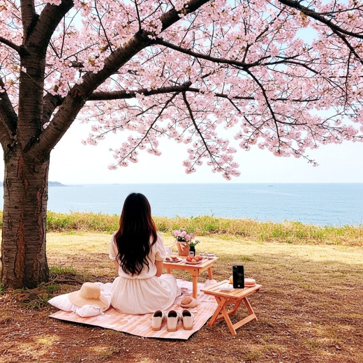  KT알뜰폰 유심 파는 편의점 셀프개통 방법