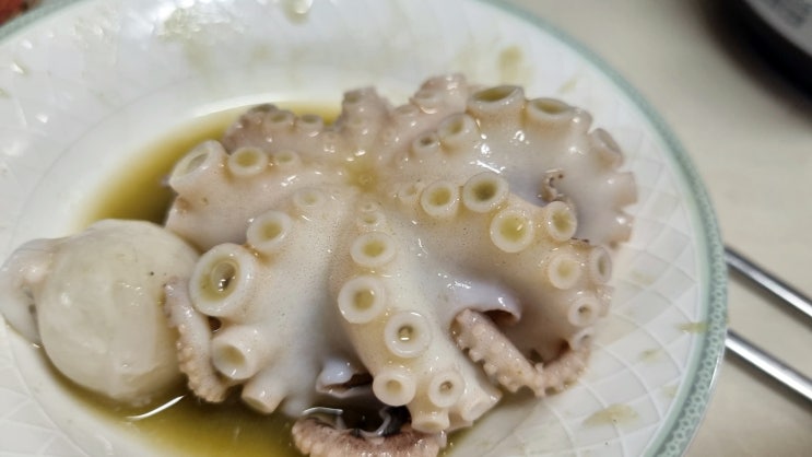  청춘밥상 봄 쭈꾸미, 놓치면 후회!
