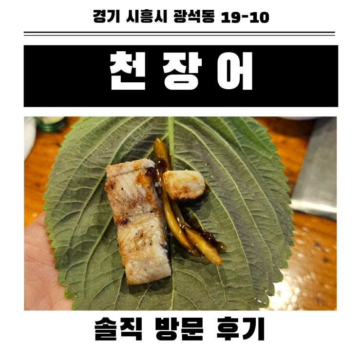  시흥 장어 직판장 가격으로 저렴한 맛집 천장어 내돈내산 방문후기
