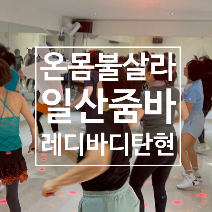  일산줌바 레디바디 탄현점에서 몸을 불태우자