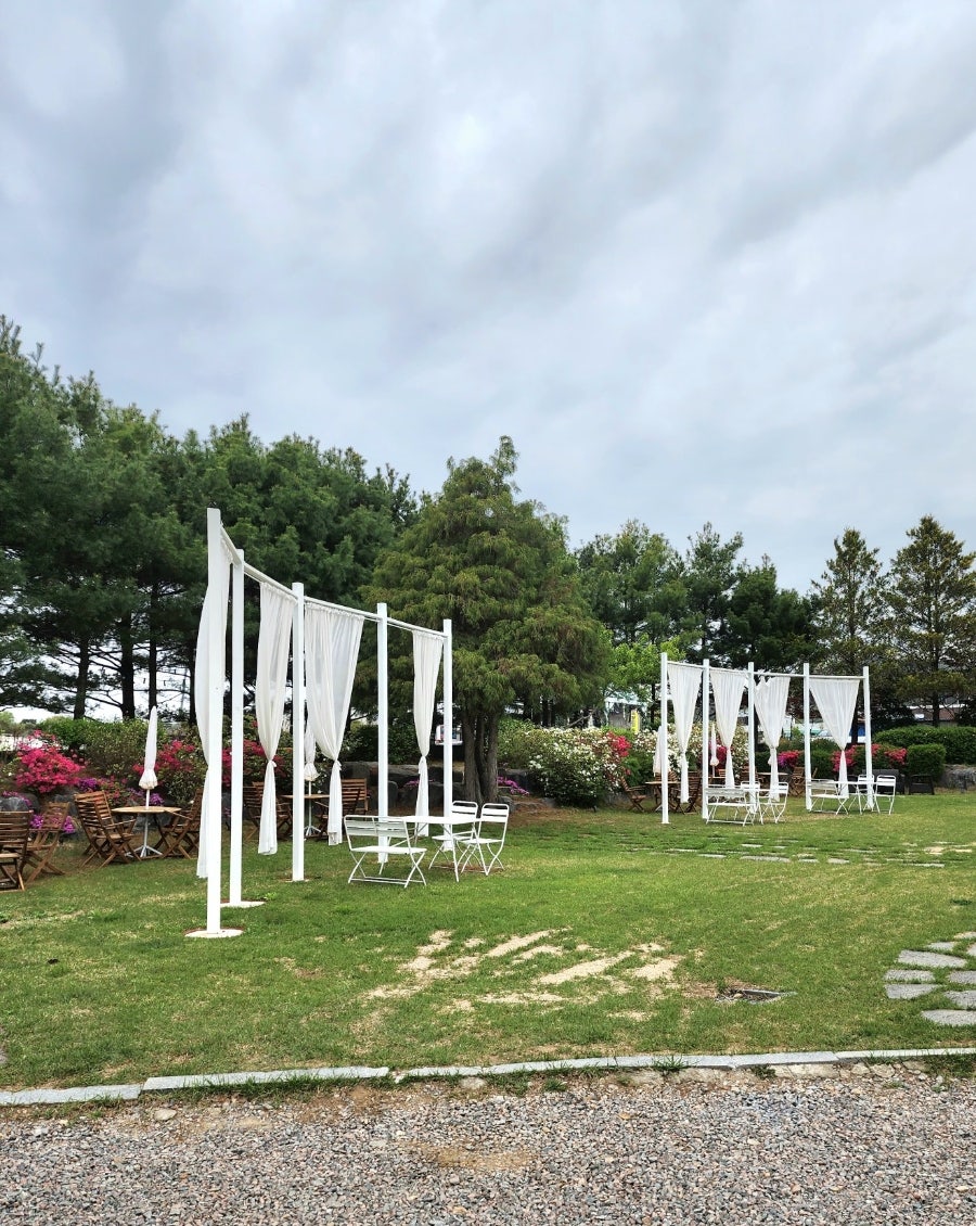 그린블랑&멍블랑 사진 2