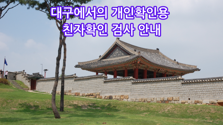  대구에서의  개인확인용 친자확인 검사 안내
