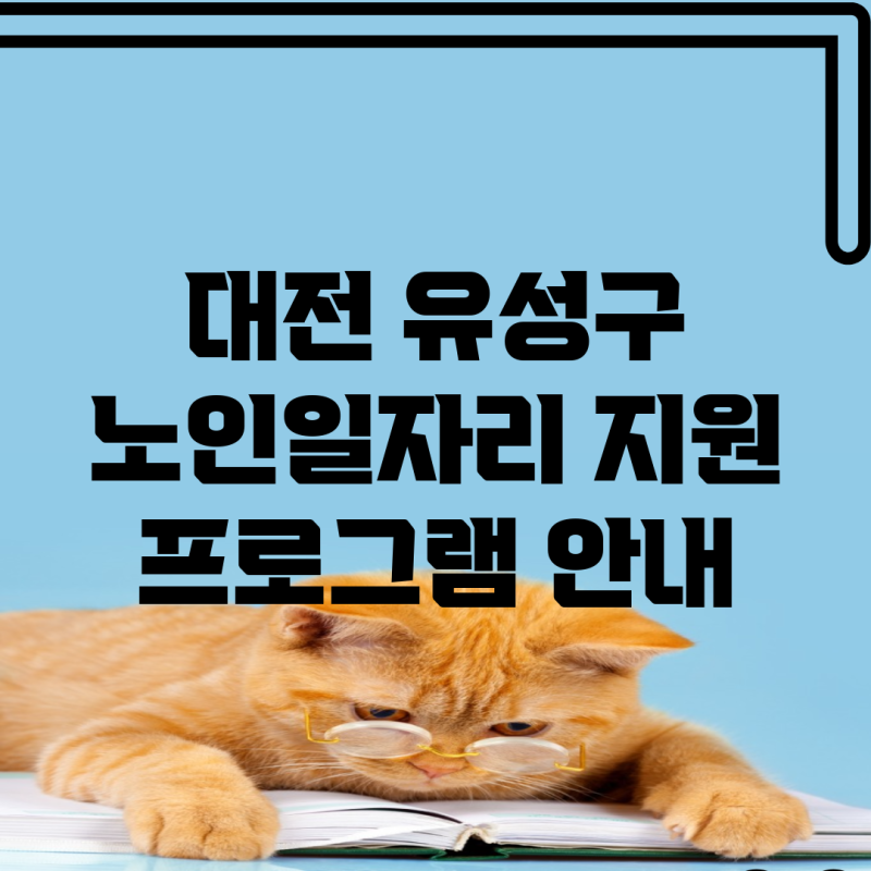 대전 유성구 노인일자리 지원 프로그램 안내