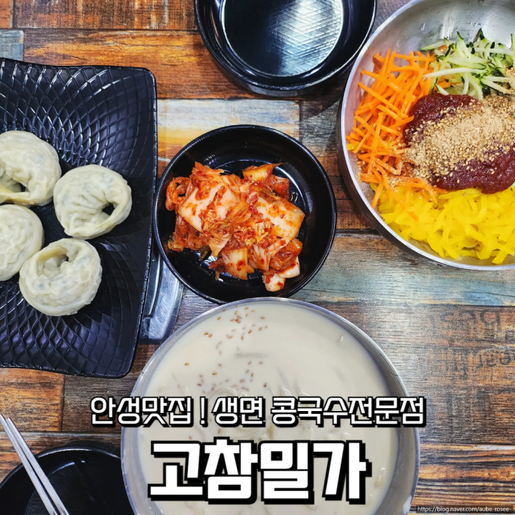  안성맛집 이 집이 바로 인생 콩국수! 안성콩국수 고참밀가 방문 후기