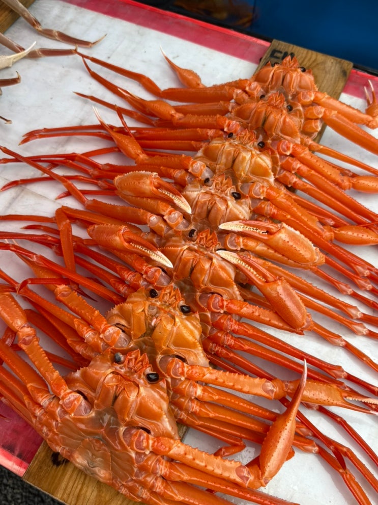  포항 죽도시장 홍게 가성비 홍게 공영주차장 맞은편 대게 맛집 : 32수산 수협직판장