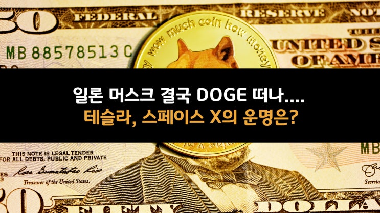  일론 머스크 결국 DOGE 떠나.... 테슬라, 스페이스 X의 운명은?