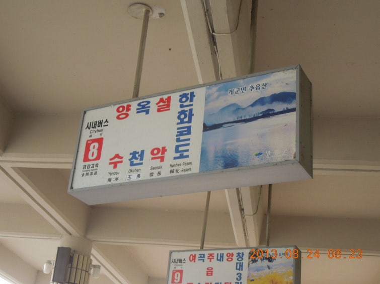 살구나무골 사진 3