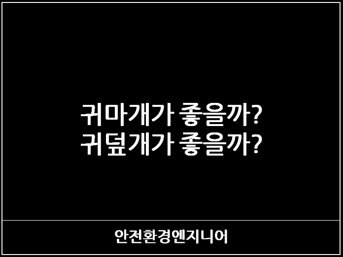  귀마개가 좋을까? 귀덮개가 좋을까?