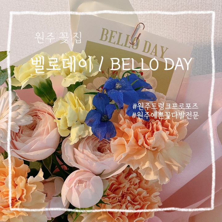  원주 무실동 :: 원주 꽃집 벨로 데이에서 기념일 및 스승의 날 화분 어버이날 꽃다발 준비하기