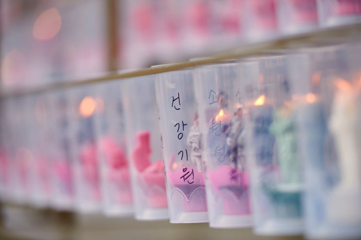  분당점집 2025년 부처님오신날  개인소망등 접수해요
