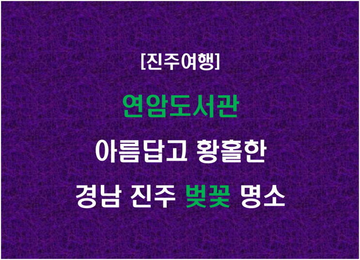  연암도서관, 아름답고 황홀한 경남 진주 벚꽃 명소