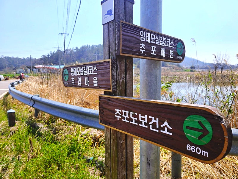 사진 6
