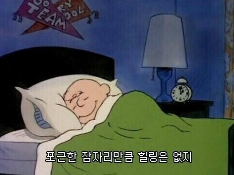  개운한 수면시간 알고 싶다면? 수면시간 계산기 슬리피타임으로 알아보기