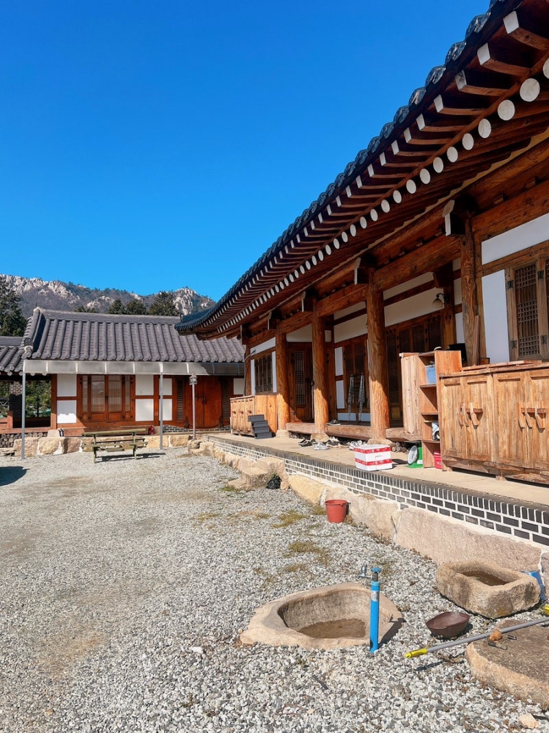 사진 3