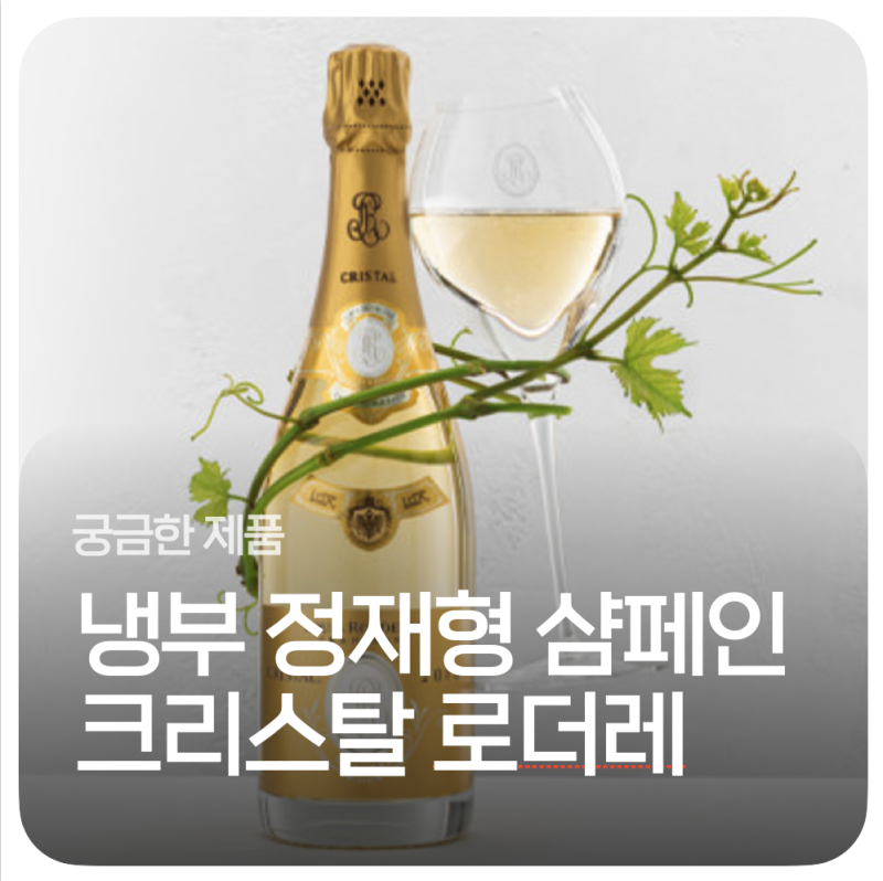 냉부 정재형 냉장고 속 샴페인